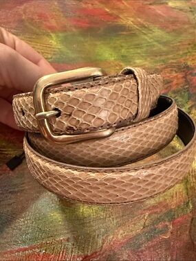 Genuine Snake Skin Thin Belt Women’s Brass Adjustable Buckle Like New TLS 32-36"